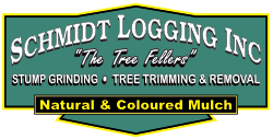 Schmidt Logging